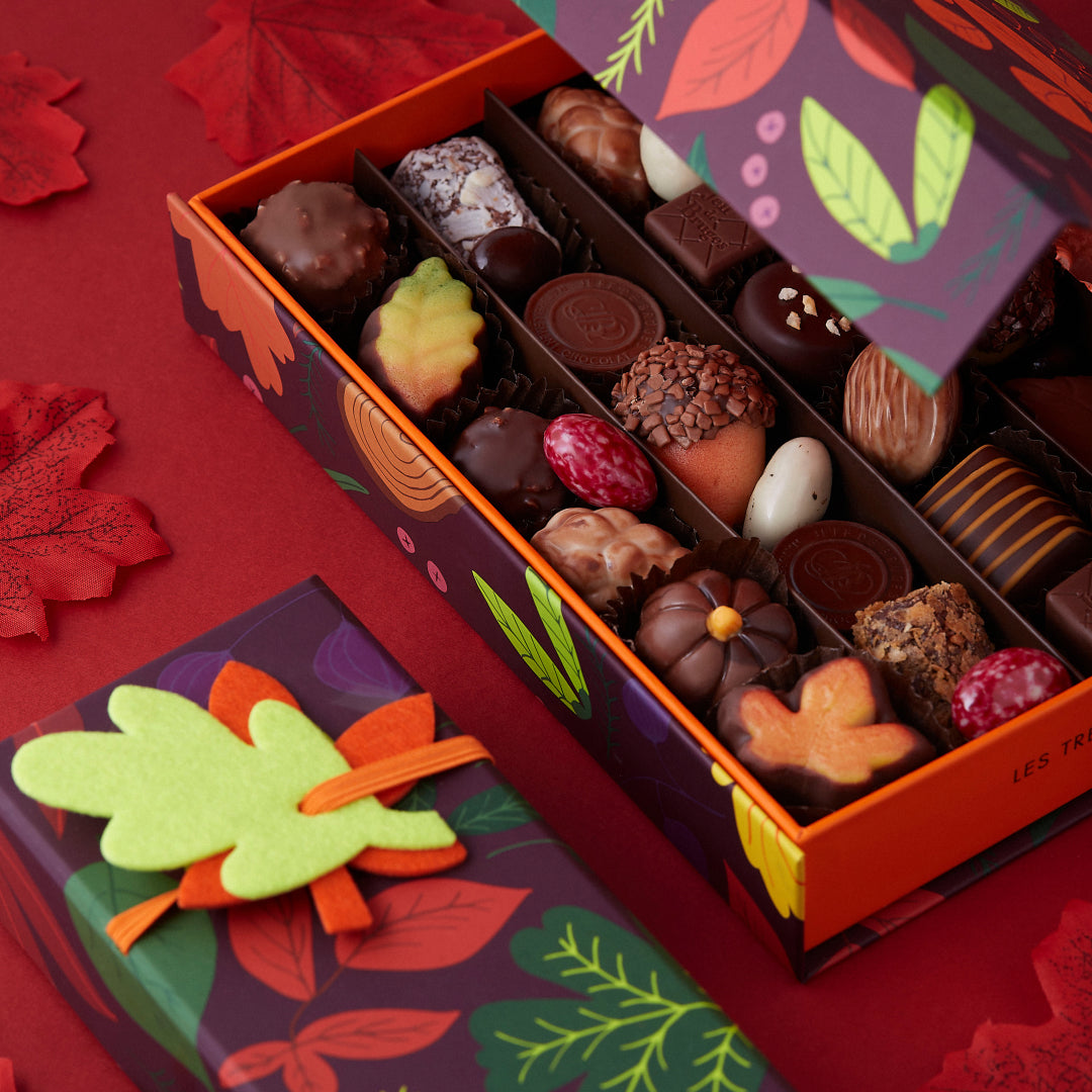 LONG AUTUMN BOX